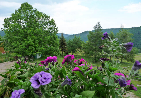 Blick in die umliegende Natur