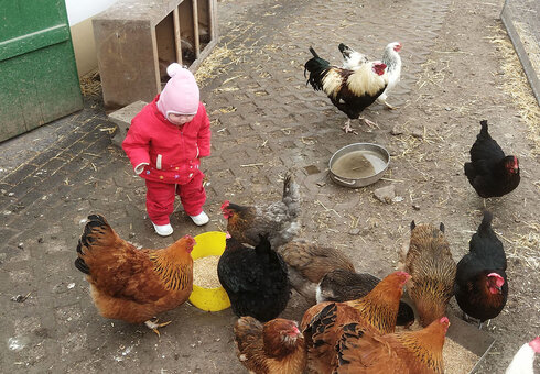 Aktives Mitarbeiten im Stall für groß und klein
