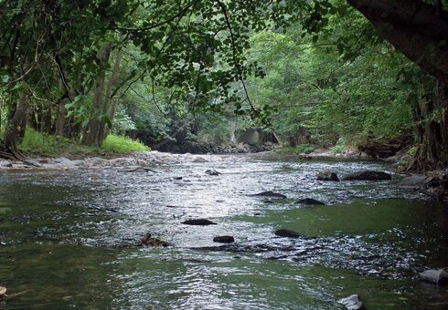 Fluss Schwarza