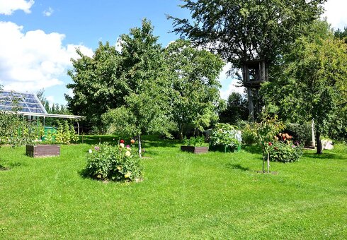 Blick in den Garten mit Liegewiese