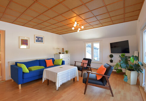 Wohnzimmer mit Couch und TV