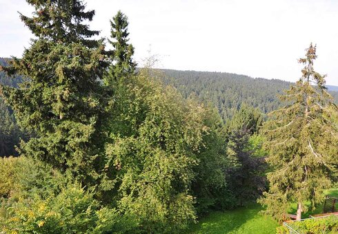 Ausblick auf den Thüringer Wald