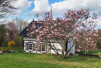 Ferienhaus-Erfurtblick