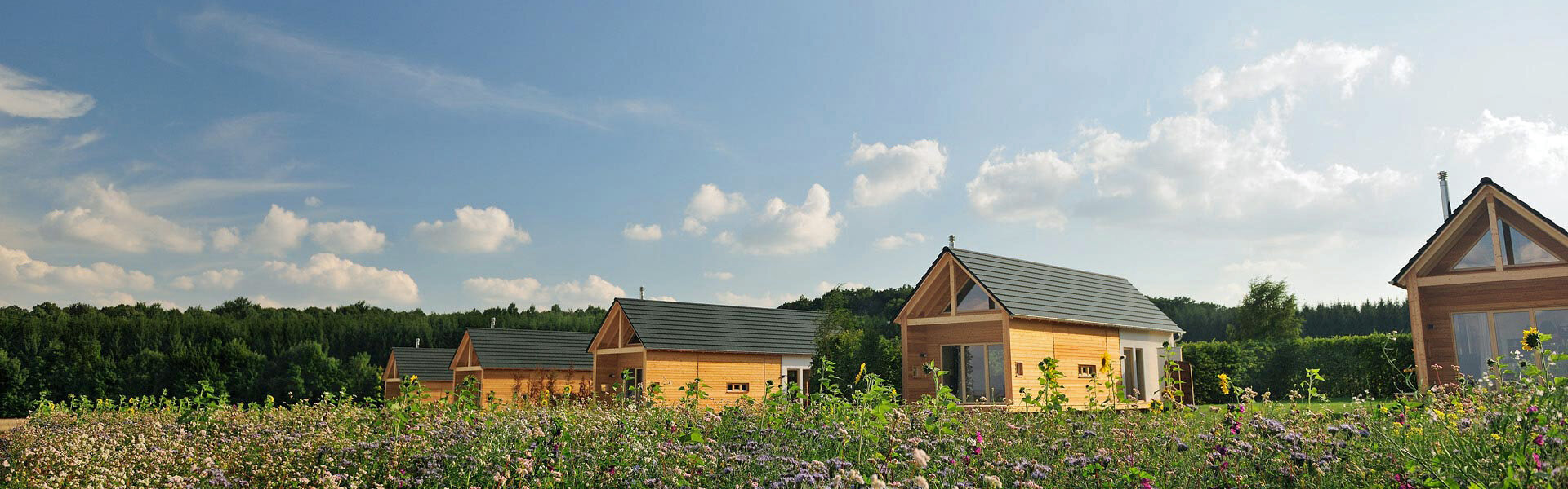 Hainichhoefe_Chalet_Siedlung_Panorama