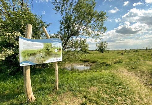 Napoleonpfad-natura-jenensis