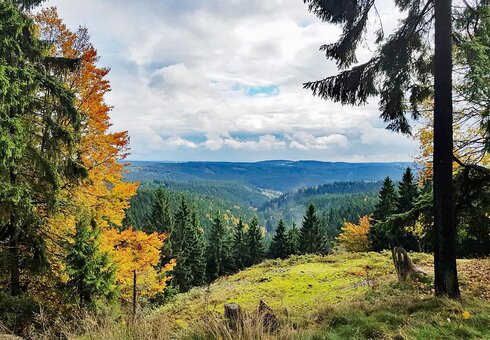 Landschaft bei Spechtsbrunn