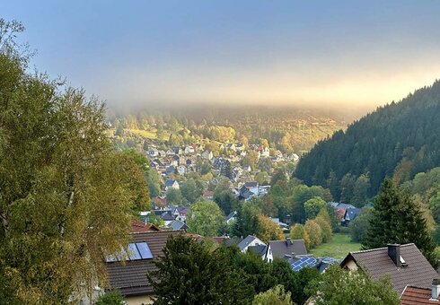 Pension Am Waldesrand, Manebach