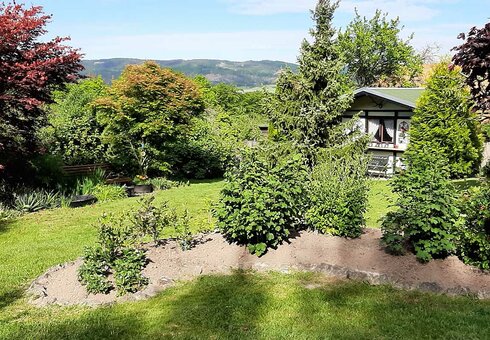 Blick in den Garten