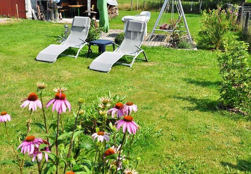 Liegewiese mit Sonnenliegen