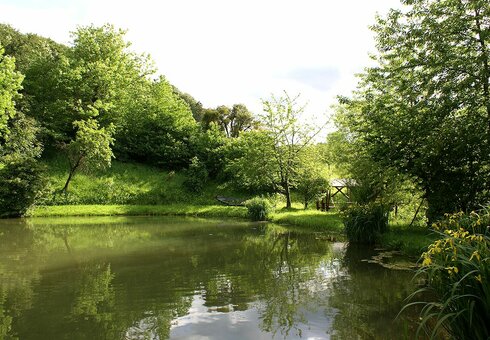Naturparadies am Seeleshof