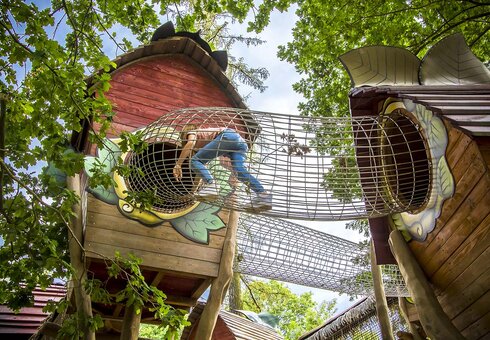 Abenteurwildnis Im Reich des Fagati