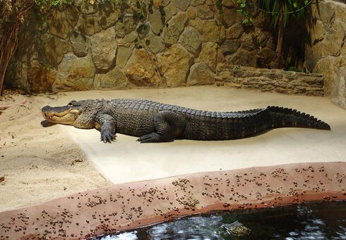 Erlebnispark Meeresaquarium