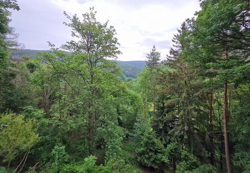 Blick in die Natur vom überdachten Balkon