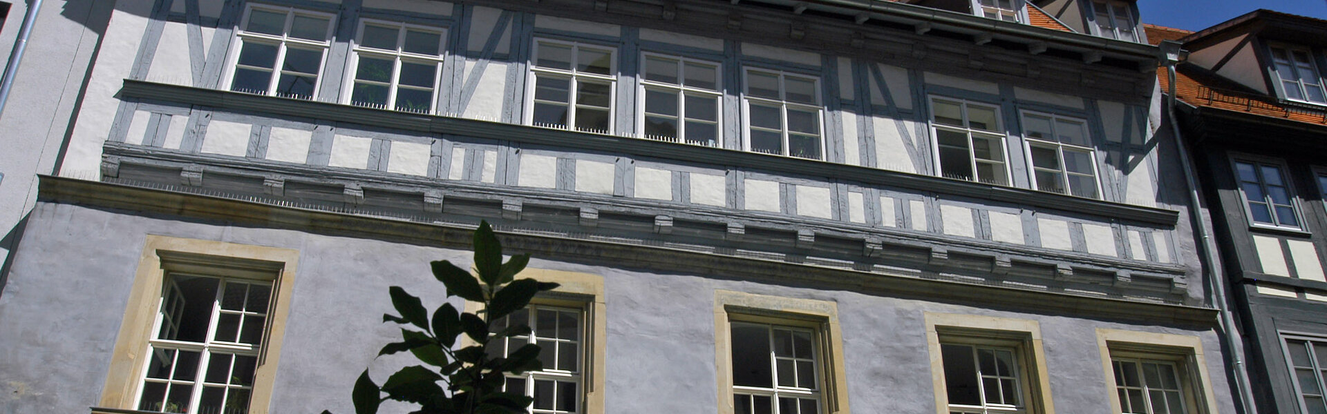 Haus zum Schwarzen Horn in Erfurt