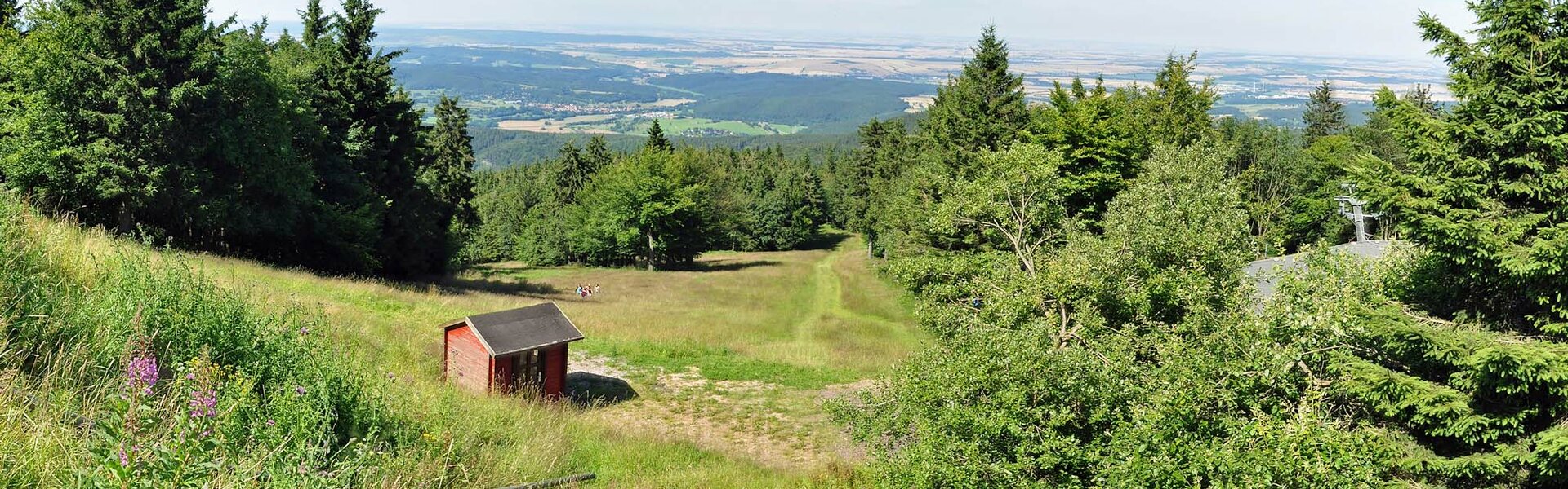 Landschaft am Inselsberg