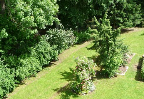 Blick vom Balkon