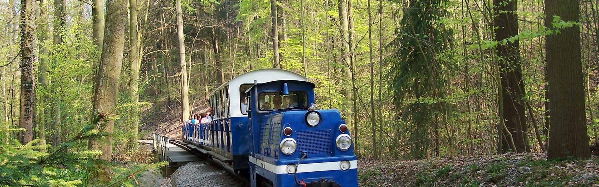 Parkeisenbahn im Tierpark Gera