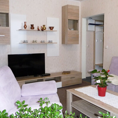 Blick in das Wohnzimmer