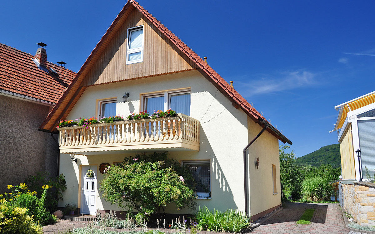 Pension-am-Rennsteig-Neuenhof-Hoerschel-Panorama