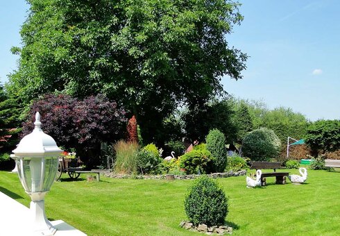 Blick in den Garten
