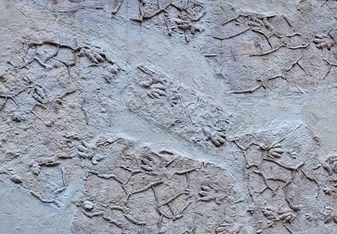 Chirotherium-Monument
