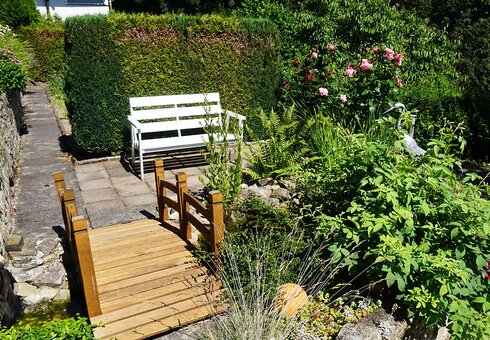 Blick in den Garten