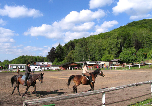 Reit- und Ferienpark Dörrensolz