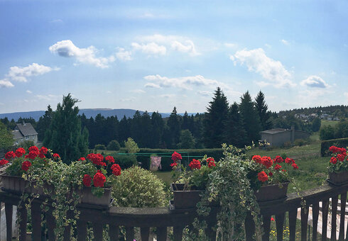 Ausblick vom Balkon