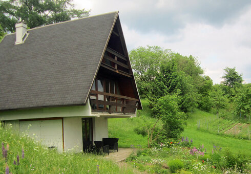 Ferienhaus Idyll Geiersberg