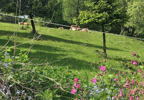 Natur pur