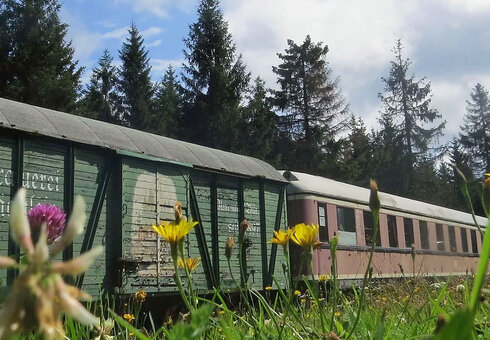 Waggons