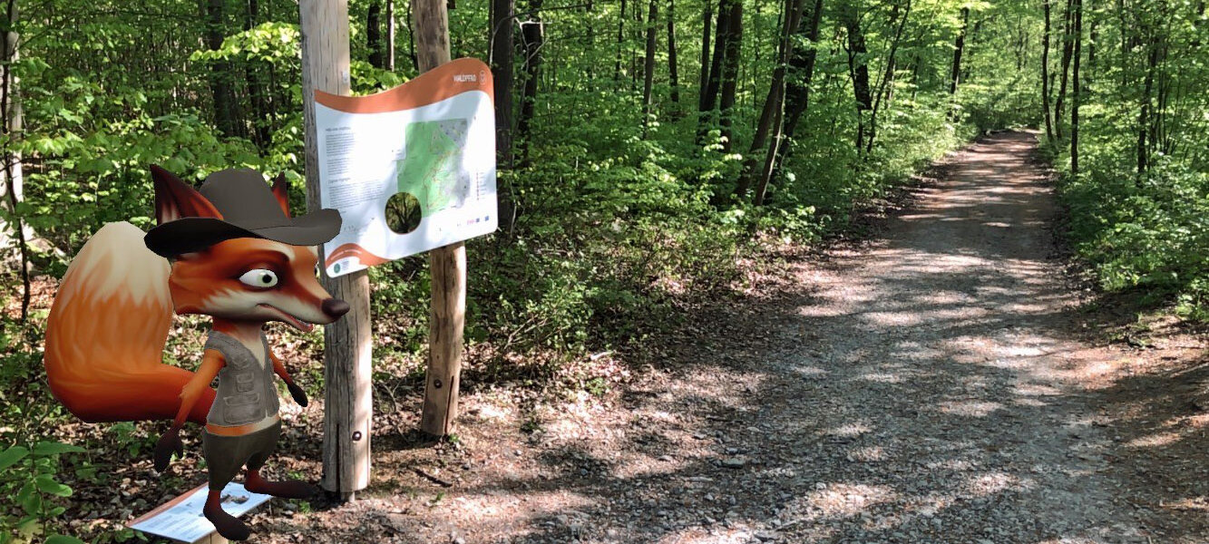 WaldPfad Schlauer Ux