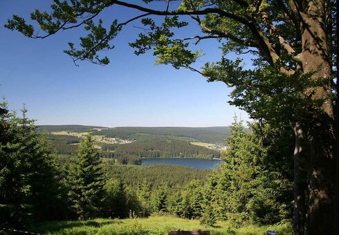 Wandern im Thüringer Wald