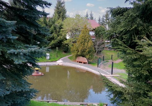 Teich
