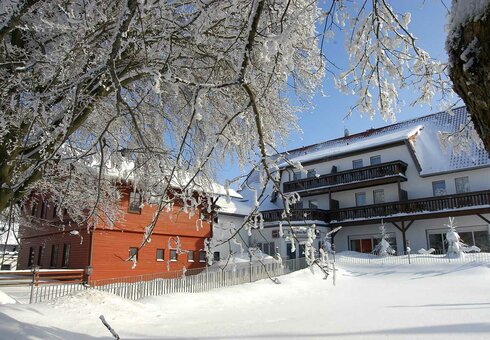 Hotel & Berggasthof Tanzbuche