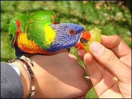 Tierpark Suhl