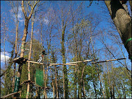 Kletterwald Koala