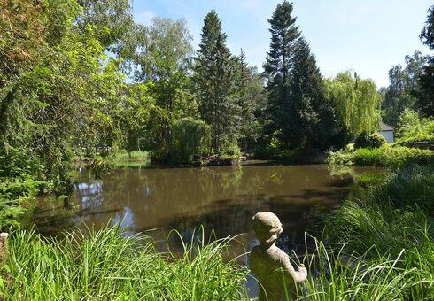 großer Teich mit Fischen