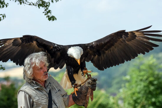 Adler- und Falkenhof Schütz
