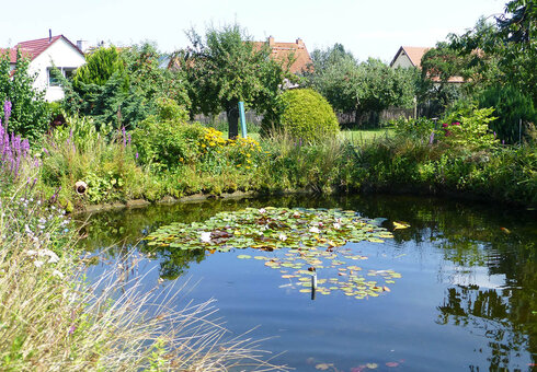 Gartenteich