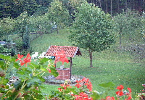 Blick in den Garten