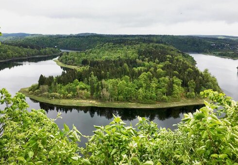 Landschaft an der Bleilochtalsperre