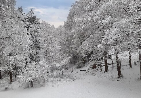 Das Grundstück im Winter