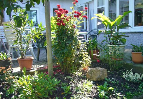 Blütenpracht im Sommer