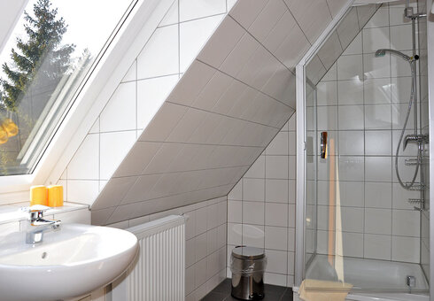 Ferienwohnung 4 (Dusche/WC)