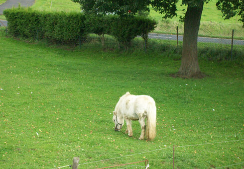 Urlaub auf dem Bauernhof in der Rhön