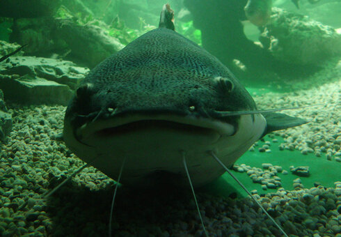 Erlebnispark Meeresaquarium