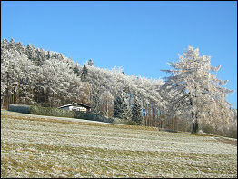 Blick zum Ferienhaus im Winter