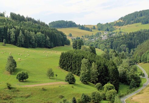 Schieferpfad