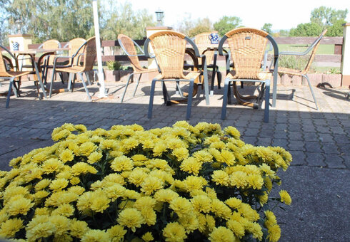 Auf der Terrasse